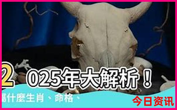 全新免費2025全年分析免費全新攻略資料全網(wǎng)大全