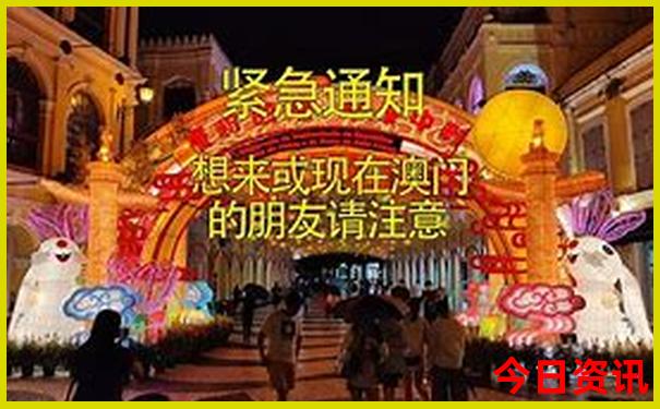 全新揭秘新澳門最新動態(tài)精準(zhǔn)正版一鍵直達免費